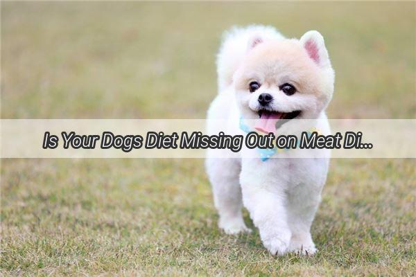 Is Your Dogs Diet Missing Out on Meat Discover the Truth Behind the Meat Myth